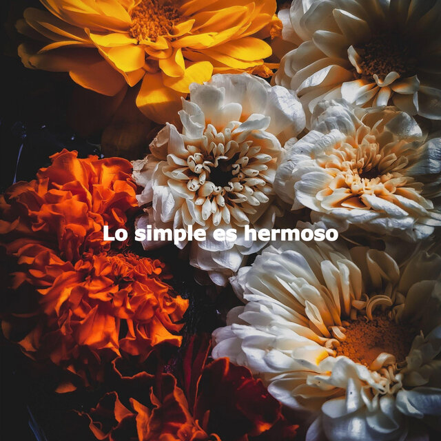 Lo simple es hermoso