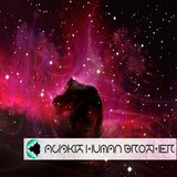 Black Hole Mystery of the Multiverse