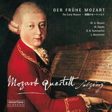 Flute Quartet in D Major, P. 117: I. Allegro