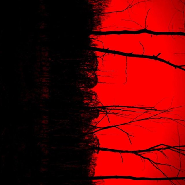 Arcrux, Vol. 1