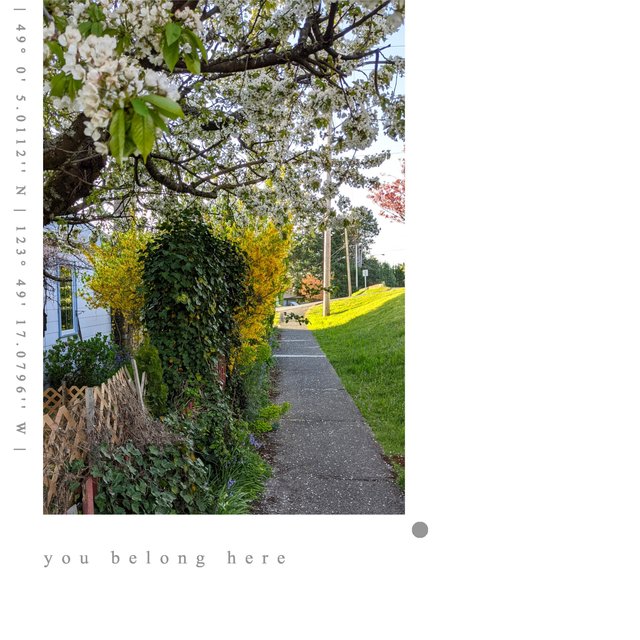 you belong here