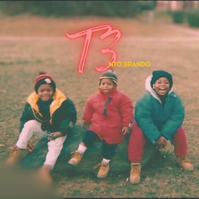 T3