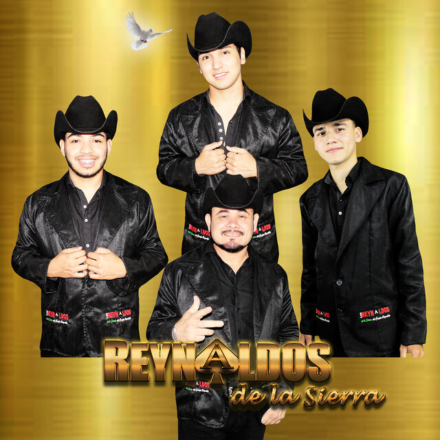 Álbum 47 Puras Románticas De Oro