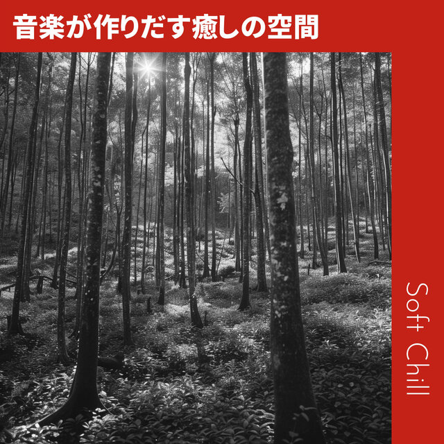 音楽が作りだす癒しの空間
