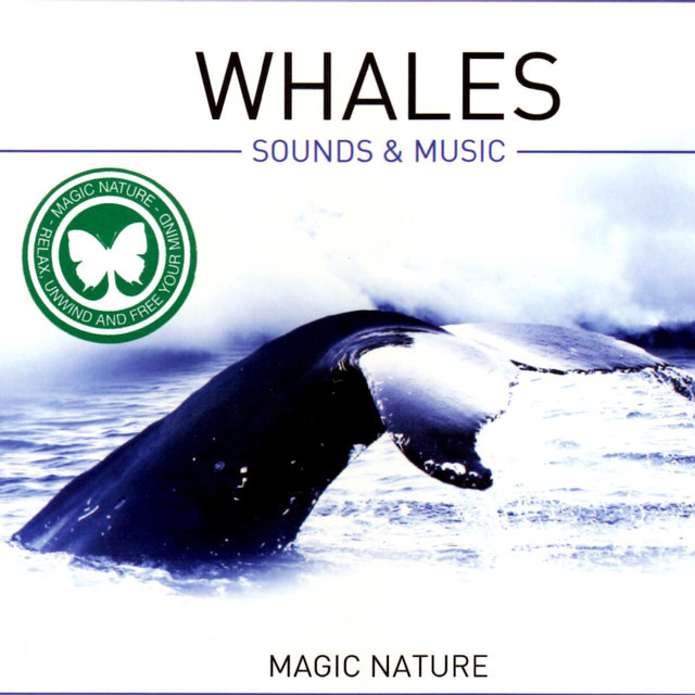 Whales - Sounds & Music
