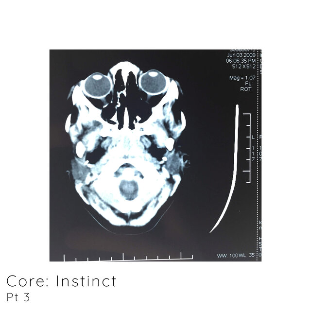 Core: Instinct, Pt. 3