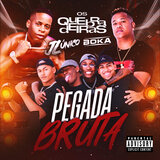 Pegada Bruta