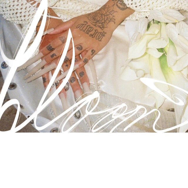 Bloom