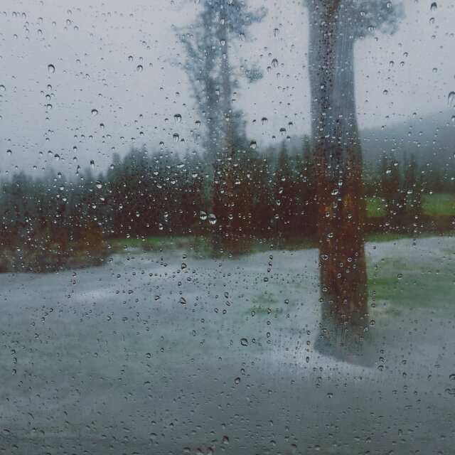 dewdrops