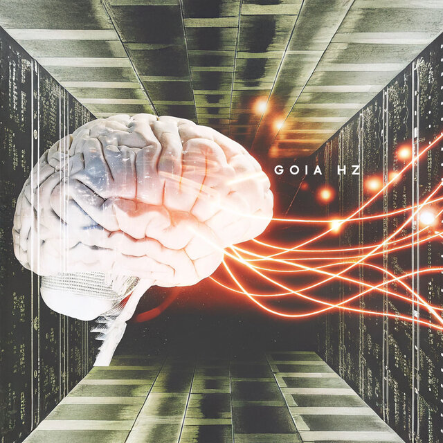 Speed Up Cognitive Function