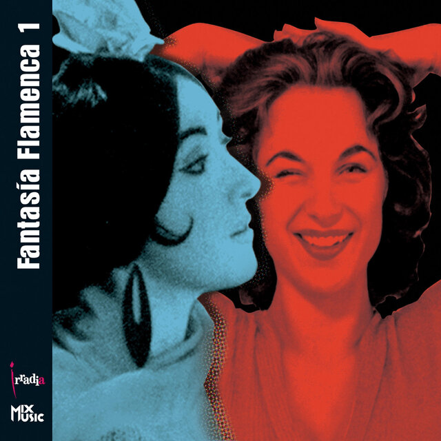 FantasÍa Flamenca 1