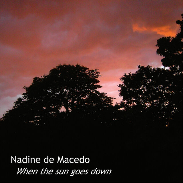 When The Sun Goes Down (Streaming Version)