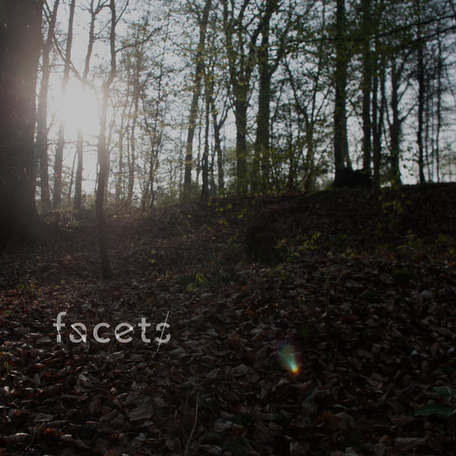Facets