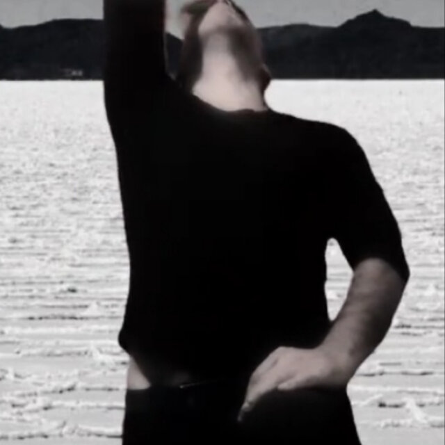 Soy