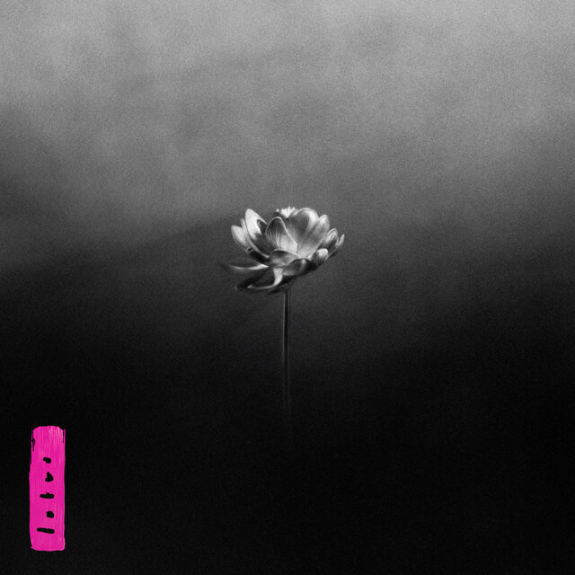 Cover art for album Lotus by Little Simz