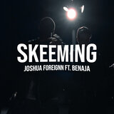 Skeeming