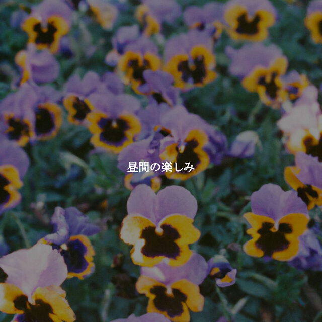 昼間の楽しみ