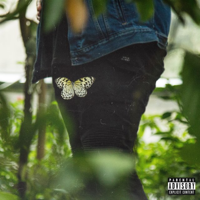 Izzy Butterfly