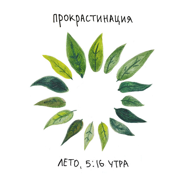 лето, 5:16 утра