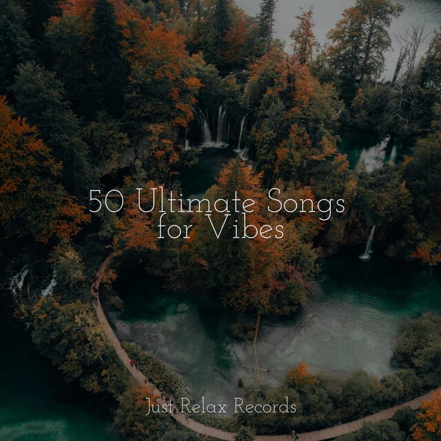 50 Ultimate Songs for Vibes