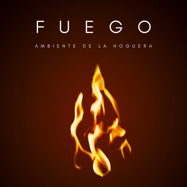 Fuego: Ambiente De La Hoguera