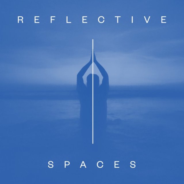 Reflective Spaces