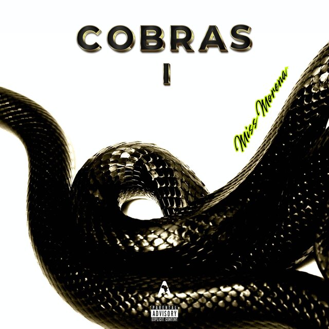 C.O.B.R.A.S I