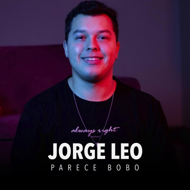 Parece Bobo