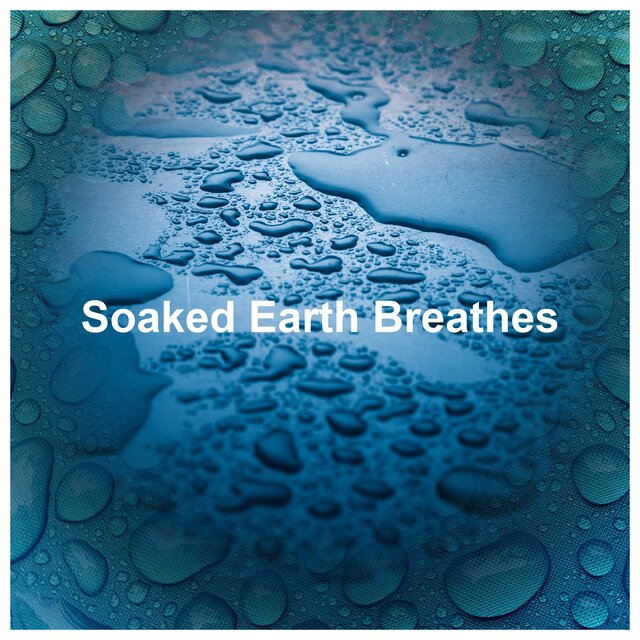 Soaked Earth Breathes