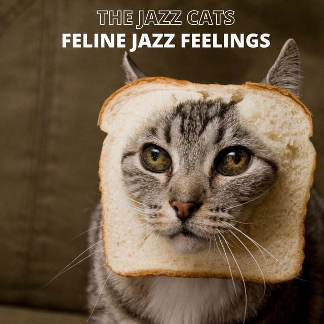 Feline Jazz Feelings