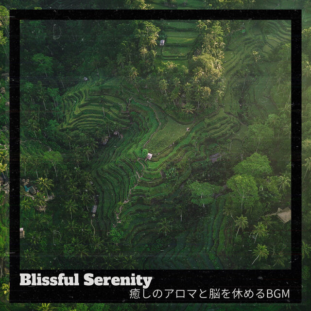 癒しのアロマと脳を休めるBGM