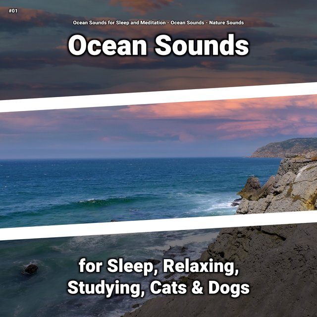 #01 Ocean Sounds for Sleep, Relaxing, Studying, Cats & Dogs