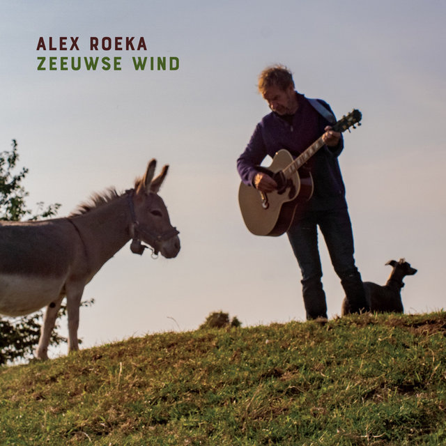 Zeeuwse wind