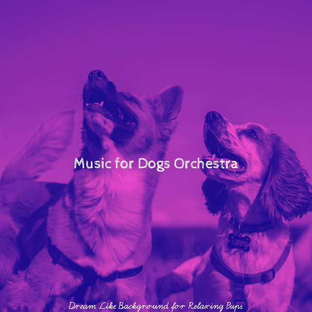 Dream Like Background for Relaxing Pups