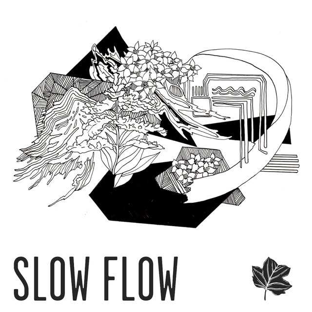 Slow Flow