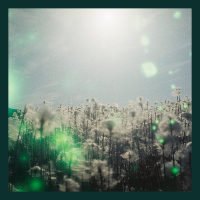Asphodel Meadows