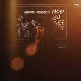 IDlozi (feat. Sedi Tribes MusiQal & P. Sax)