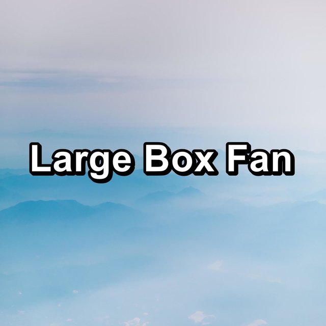 Large Box Fan