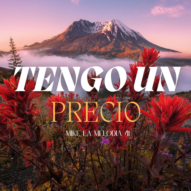 Tengo Un Precio