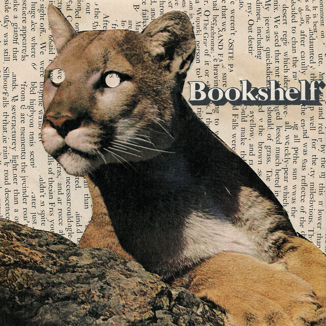 Bookshelf