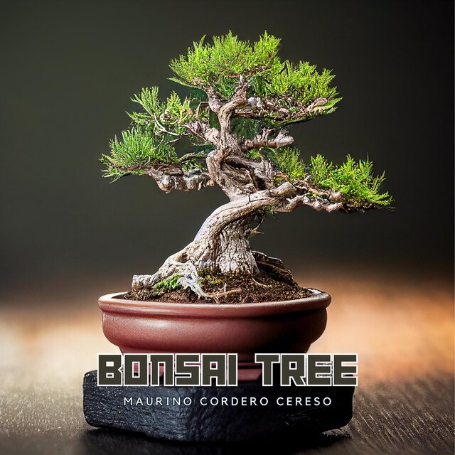 Bonsai Tree