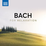 Matthäuspassion, BWV 244: Chorale. O Haupt voll Blut und Wunden