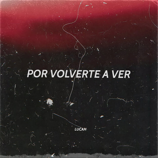 Por Volverte a Ver