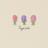 Hyacinth
