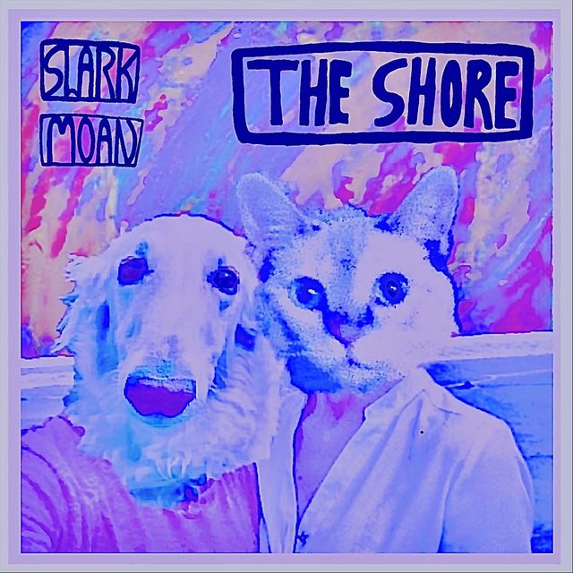 The Shore