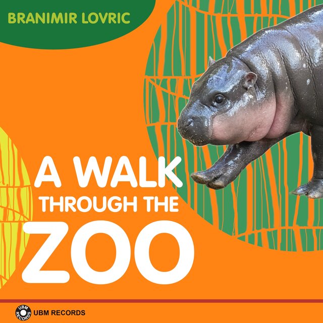 A Walk Throught The Zoo