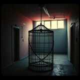 Psychotic Sanitarium