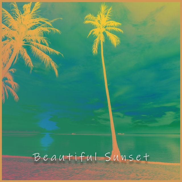 Beautiful Sunset: Feel Tropical Euphoria