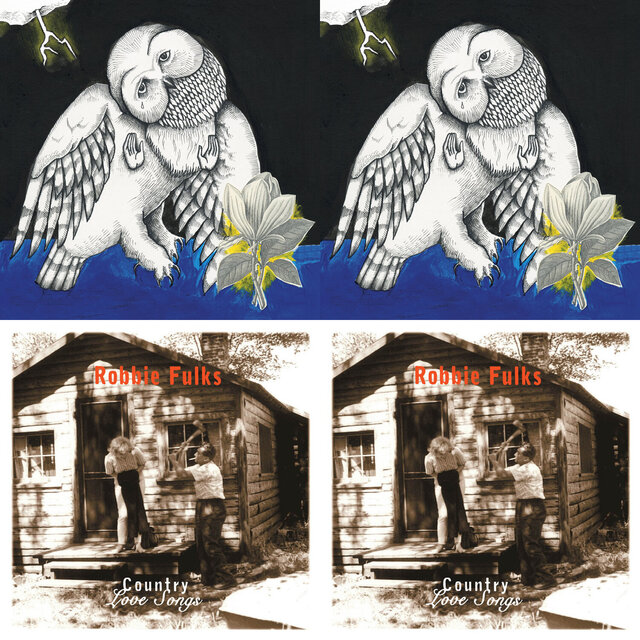 Cover art for album The Genius of Steve Albini by User