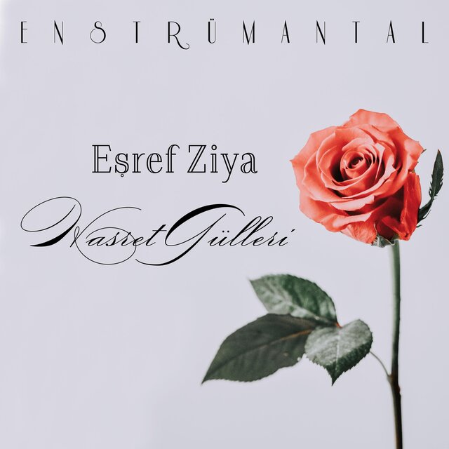 Hasret Gülleri (Enstrümantal)